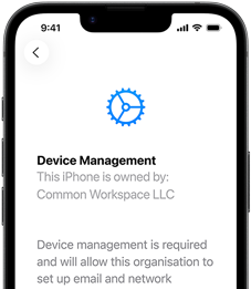 Partial view of iPhone 17e in portrait orientation, displaying the Settings app with Device Management open